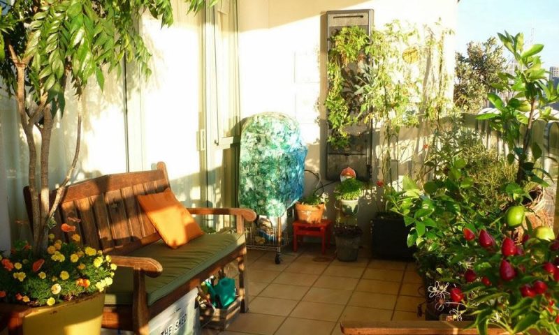 patio interior