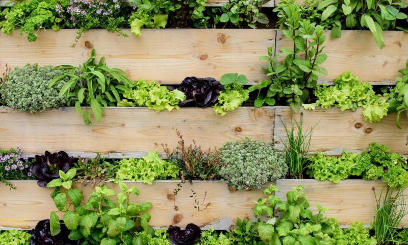 cultivar-huerto-vertical-huertoygarden cultivar-huerto-vertical-huertoygarden